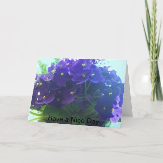 アフリカスミレ カード (正面)