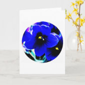 アフリカスミレ カード (黄色い花)