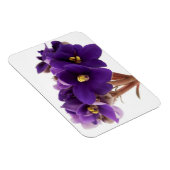 アフリカスミレ マグネット (右側)