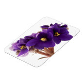 アフリカスミレ マグネット (左側)