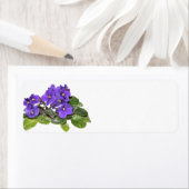 アフリカスミレ ラベル (インサイチュ)