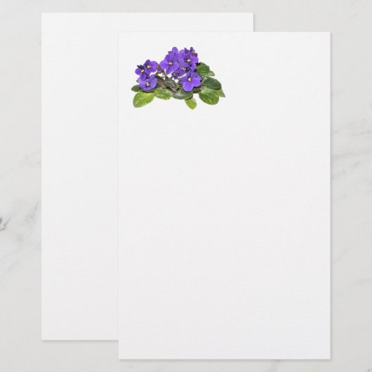 アフリカスミレ 便箋 (正面/裏面)