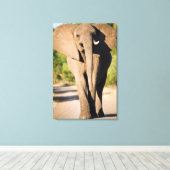 アフリカゾウが歩く キャンバスプリント (インサイチュ (ウッドフロア))