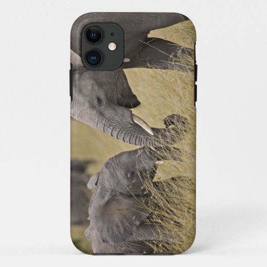 アフリカゾウが野原で草を食べている Case-Mate iPhoneケース (裏面)