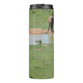 アフリカゾウとシマウマのタンブラー タンブラー (裏面)