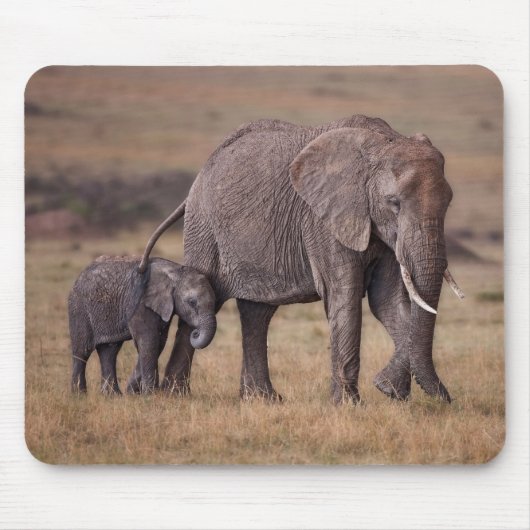 アフリカゾウと赤ちゃん マウスパッド (正面)