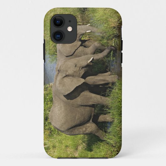アフリカゾウのつがい マサイマラ Case-Mate iPhoneケース (裏面)