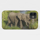 アフリカゾウのつがい マサイマラ Case-Mate iPhoneケース (裏面(横))