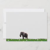 アフリカゾウのフラットカードの写真 (裏面)