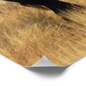 アフリカゾウのポスタープリント ポスター (角)