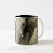 アフリカゾウのマグ及びコップ ツートーンマグカップ (正面右)
