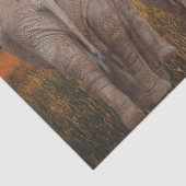 アフリカゾウの夕日 薄葉紙 (詳細)