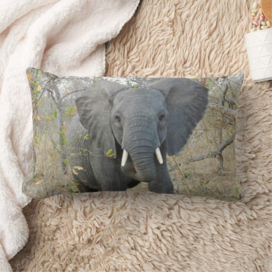 アフリカゾウの枕 ランバークッション (ブランケット)