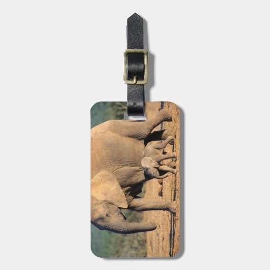 アフリカゾウの母親と子牛の動き ラゲッジタグ (正面縦)