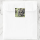 アフリカゾウの群れ, Loxodonta africana, 2 スクエアシール (バッグ)