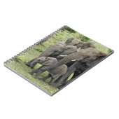 アフリカゾウの群れ, Loxodonta africana, 2 ノートブック (左側)