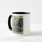 アフリカゾウの群れ, Loxodonta africana, 2 マグカップ (正面左)
