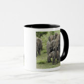 アフリカゾウの群れ, Loxodonta africana, 2 マグカップ (正面右)