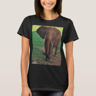 アフリカゾウの肖像画 レディースTシャツベーシックデザイン Tシャツ