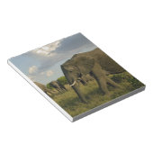 アフリカゾウの草食, Loxodonta africana, ノートパッド (アングル)