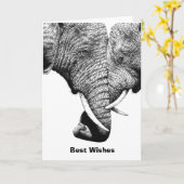 アフリカゾウの誕生日カード カード (黄色い花)