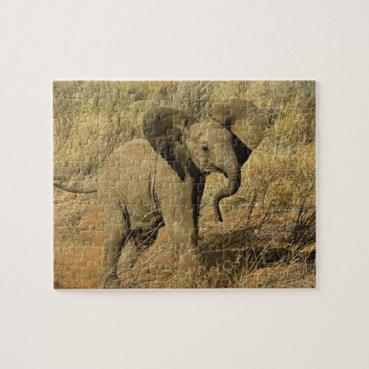 アフリカゾウの赤ちゃん, Loxodonta Africana, ジグソーパズル (横)