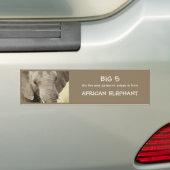 アフリカゾウの野性生物のサファリのステッカー バンパーステッカー (車上)
