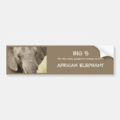 アフリカゾウの野性生物のサファリのステッカー バンパーステッカー (正面)