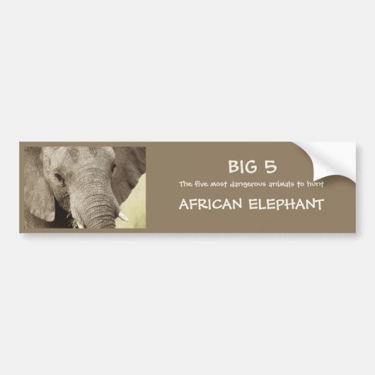 アフリカゾウの野性生物のサファリのステッカー バンパーステッカー (正面)