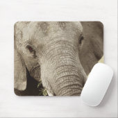 アフリカゾウの野性生物のサファリのmousepads マウスパッド (マウス)