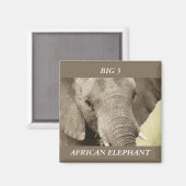 アフリカゾウの野生動物サファリ磁石 マグネット (正面/裏面)