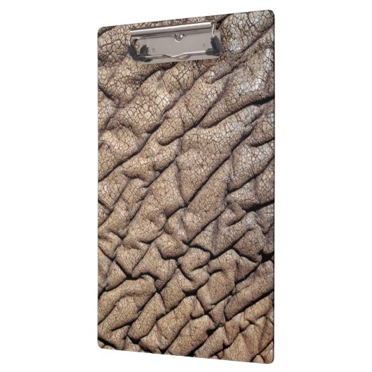 アフリカゾウの隠れ家 クリップボード (左)