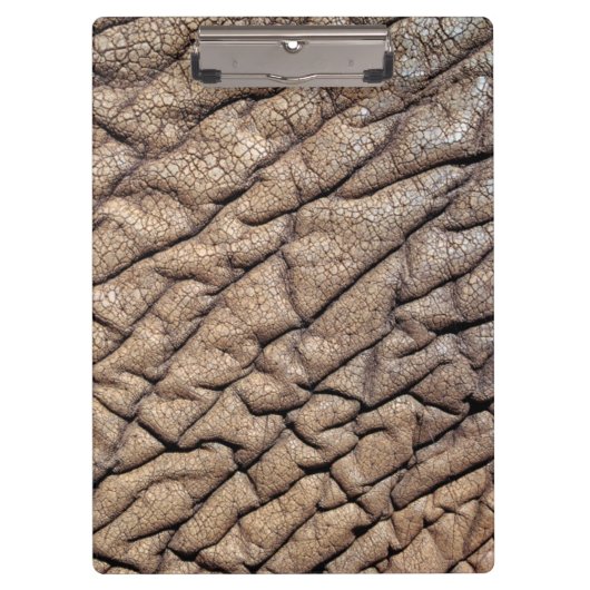 アフリカゾウの隠れ家 クリップボード (正面)