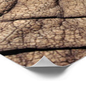 アフリカゾウの隠れ家 ポスター (角)