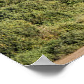 アフリカゾウの風景 ポスター (角)