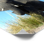 アフリカゾウプリント ポスター (角)