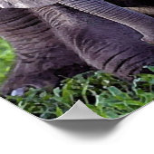 アフリカゾウベビーポートレートポスタープリント ポスター (角)