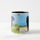 アフリカゾウマグ ツートーンマグカップ (中央)