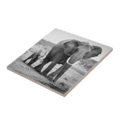 アフリカゾウ及び子牛|ケニヤ、アフリカ タイル (側面)