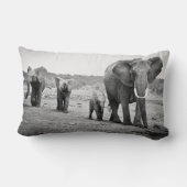 アフリカゾウ及び子牛|ケニヤ、アフリカ ランバークッション (裏面)