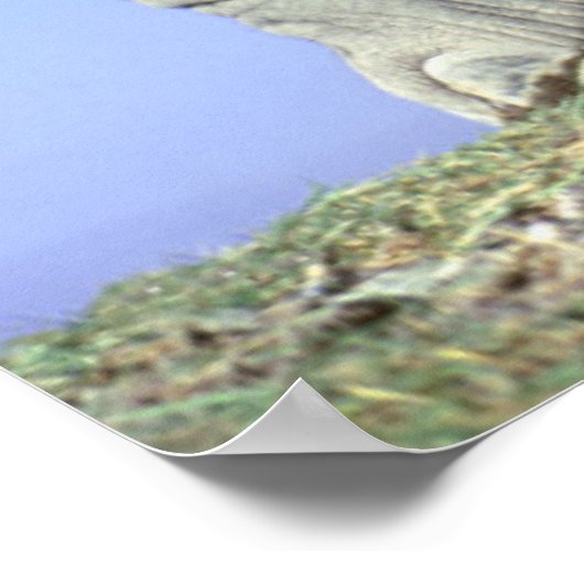 アフリカゾウ子牛 ポスター (角)