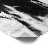 アフリカゾウ白黒 ポスター (角)