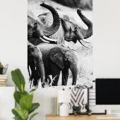 アフリカゾウ白黒 ポスター (ホームオフィス)