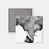 アフリカゾウ磁石 マグネット (正面/裏面)