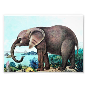 アフリカゾウ絵画ヴィンテージ フォトプリント