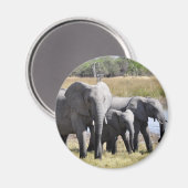 アフリカゾウ群 マグネット (正面/裏面)