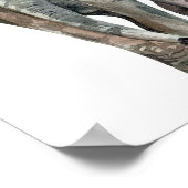 アフリカゾウ野生動物 ポスター (角)