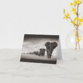 アフリカゾウ カード (黄色い花)