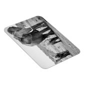 アフリカゾウ&カーブ |ケニア、アフリカ マグネット (右側)