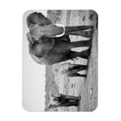 アフリカゾウ&カーブ |ケニア、アフリカ マグネット (縦)